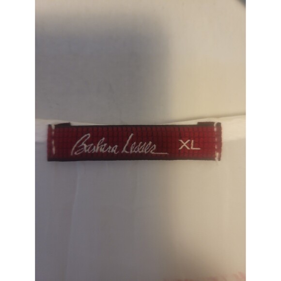 Barbara Lesser Ivory Sheer V-neck Top Sz XL Lagenlook Artsy Beachy - Picture 4 of 8